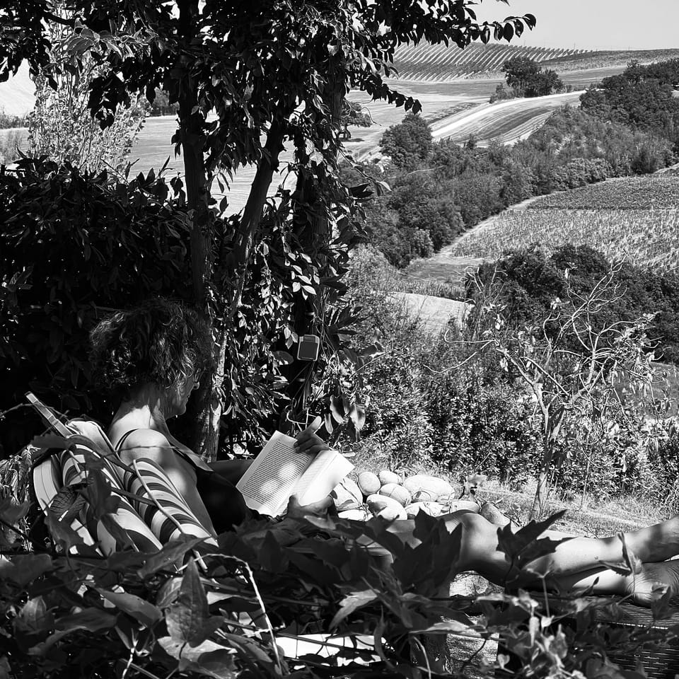 Schwarz-Weiß-Foto: Eine Person liest entspannt im Schatten eines Baumes. Im Hintergrund erstreckt sich eine sonnige Hügellandschaft mit Feldern.